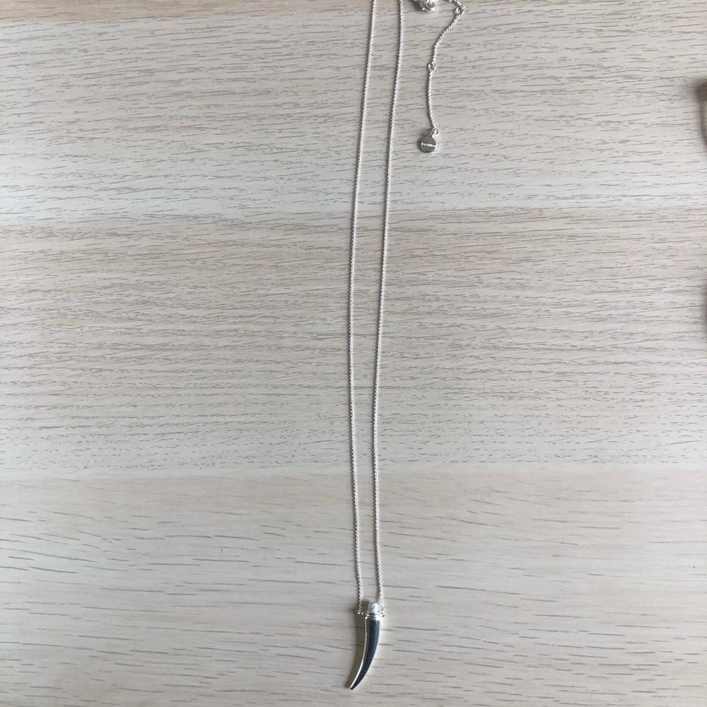 Delicate horn necklace